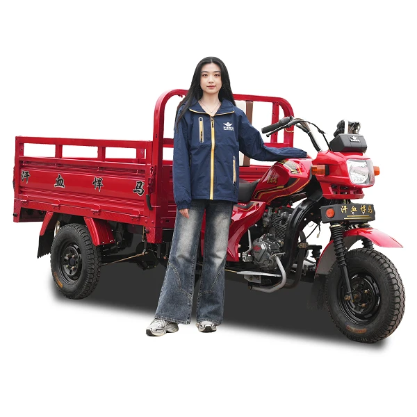 175cc Motoriseret Cargo Trike