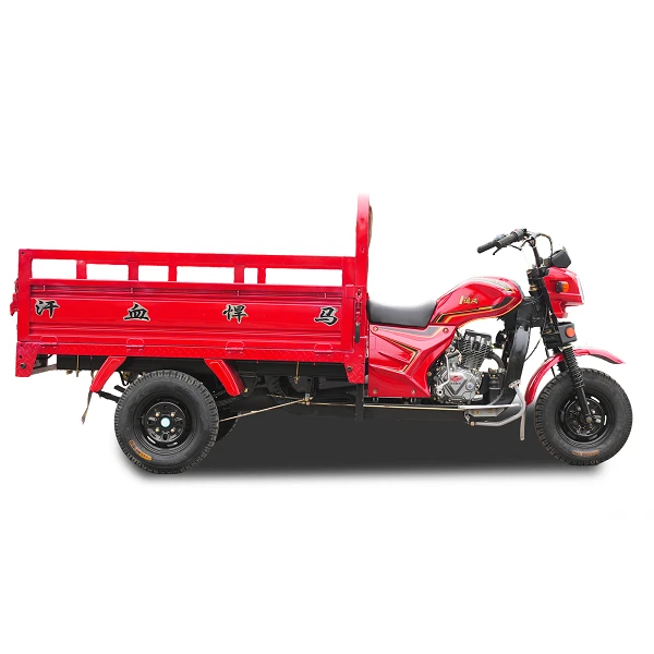175cc Motorized Cargo Trike best