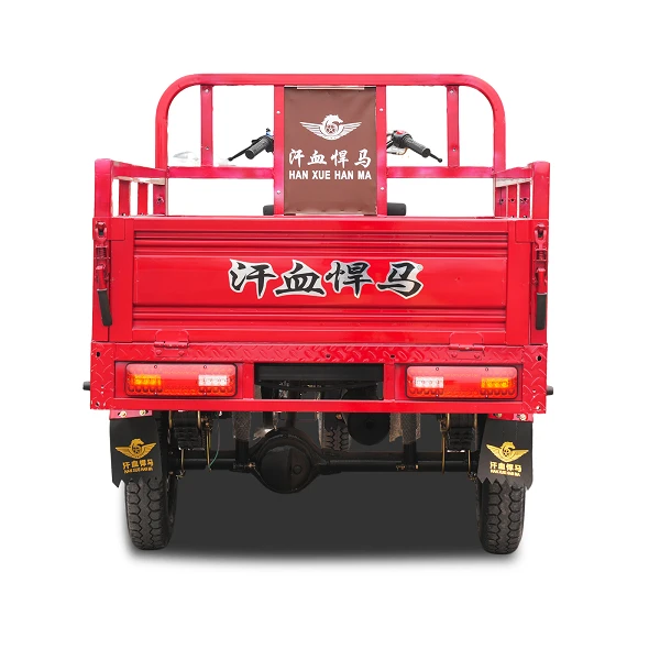 175cc Motorized Cargo Trike factory