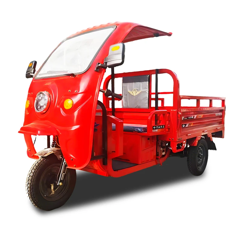 HD-09 Electric Cargo Trehjulet cykel med tag